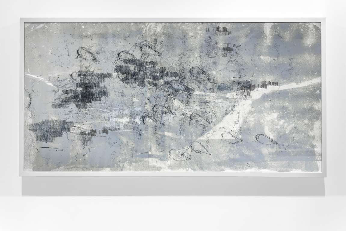 Installation view by Laura Bisotti, Prove di volo, 80 x 135 cm, Monotype on japanese paper, 2012
