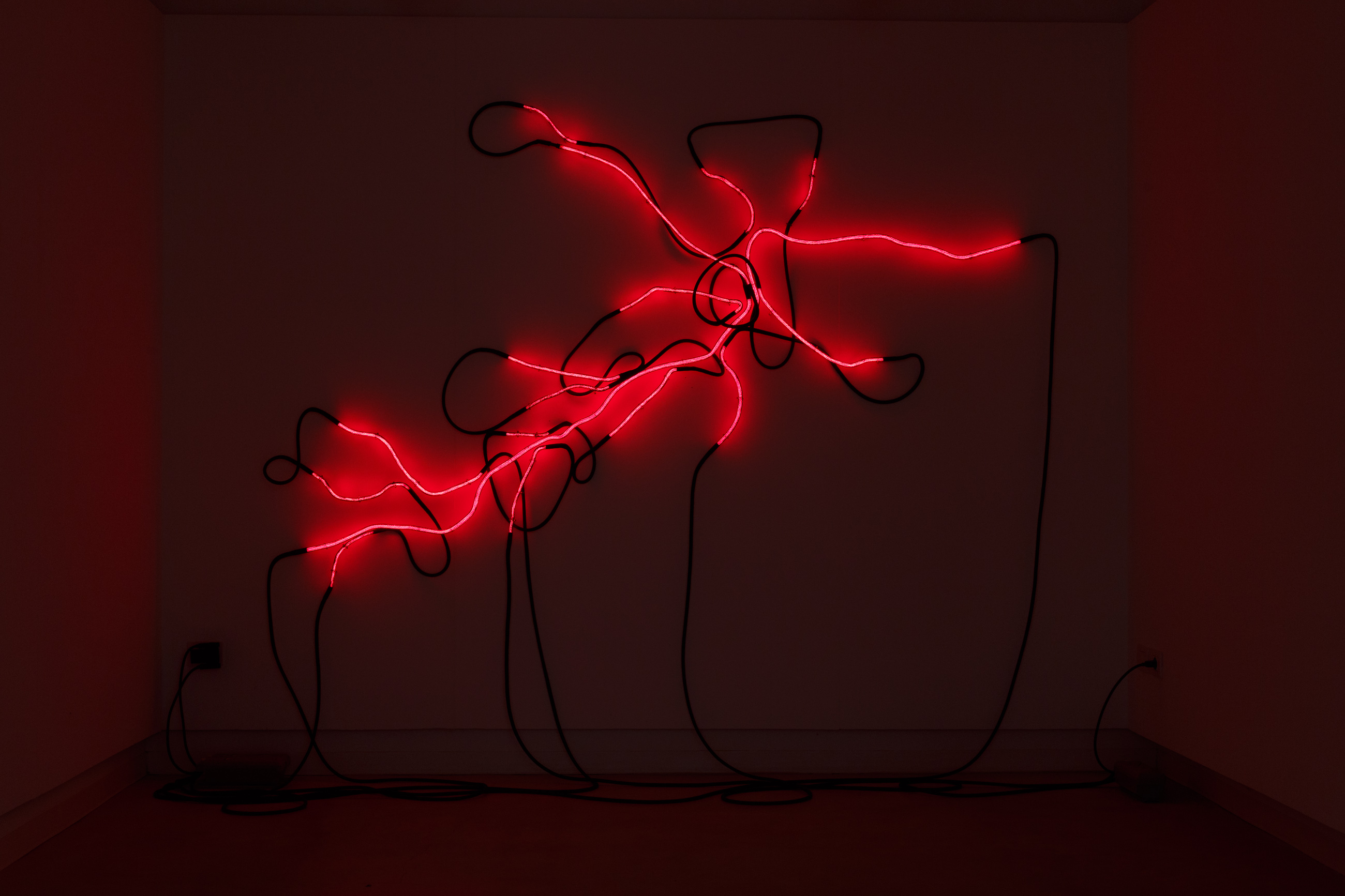 Installation view of Things with endings, by Arthur Duff, Things with endings, 2015, Polyester twist and red neon