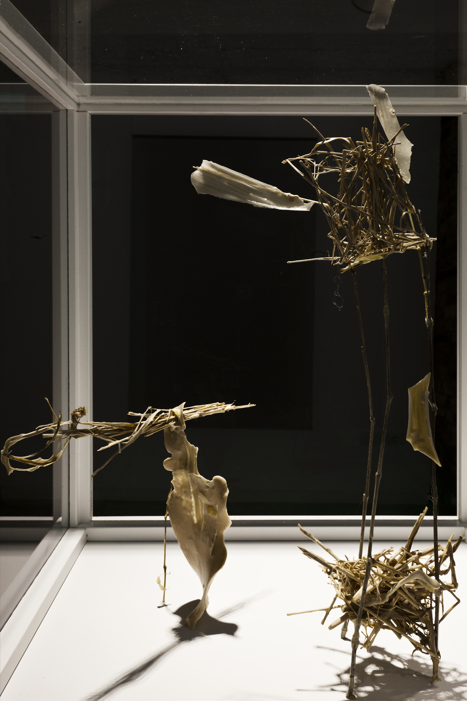 Installation view, Marignana Arte, Collettiva di Aldo Grazzi, Tobiolo e l'angelo II, 2012, Plaster, glue and organic elements
