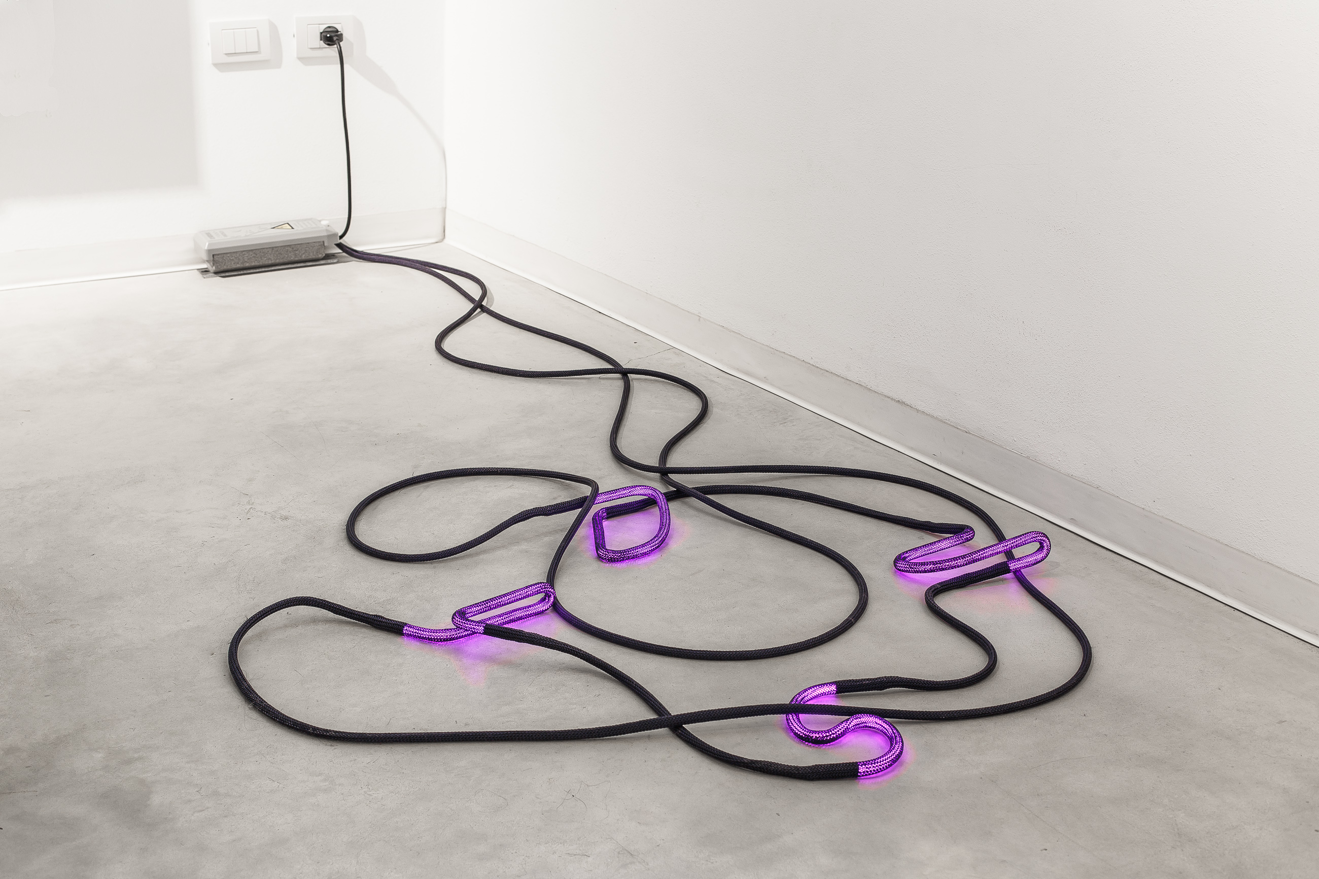 Installation view by Arthur Duff, Dust, 2015, polyester twist and violet neon, variable measures