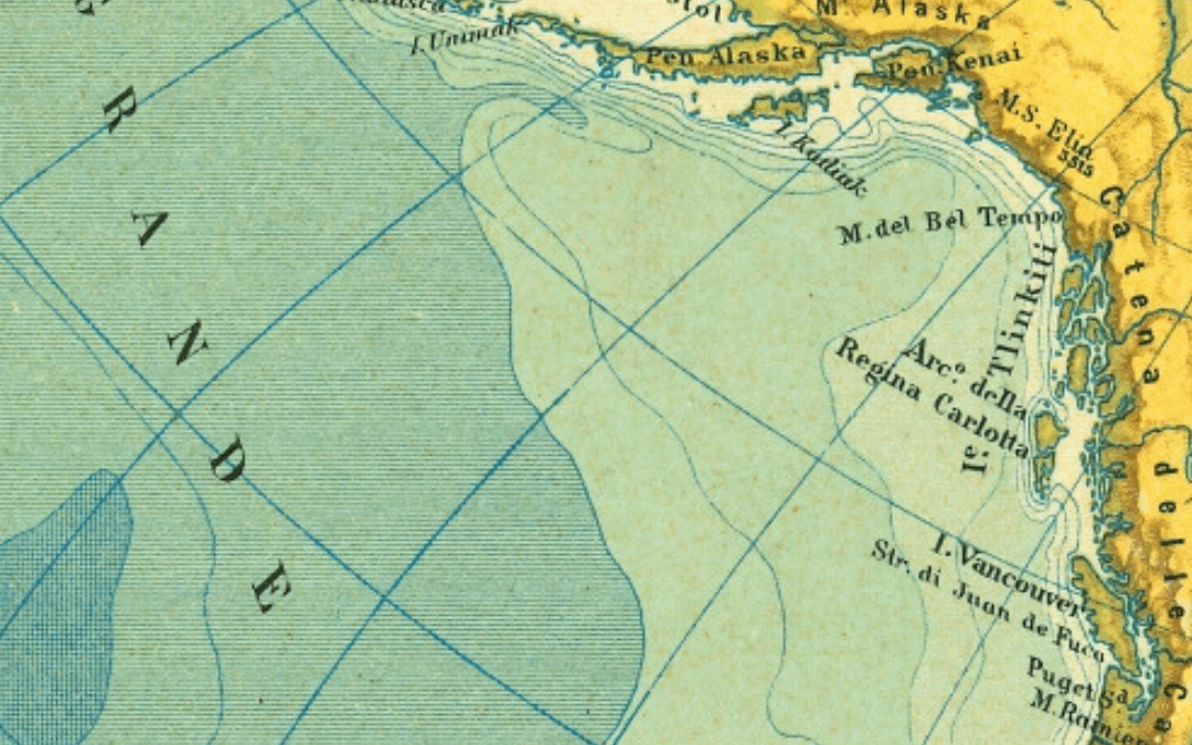 Senza Bandiere V.3.0. Divide et impera31.01-09.05.2026