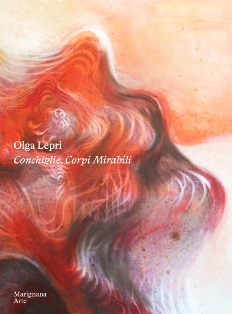Conchiglie. Corpi mirabili